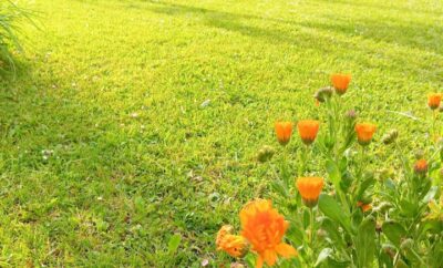 Casa con Jardín en Suances